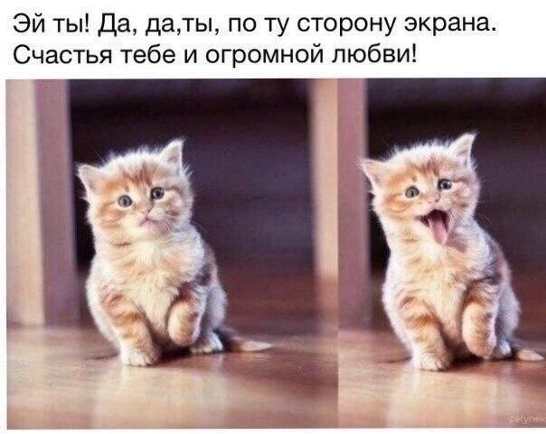 ��� �������� �������� - 2 ������ 2022 � 03:14