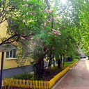  Marinochka, --, 50  -  17  2021    