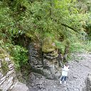 ���� ������, �����, 60 ��� - ��������� 29 ���� 2021 � ������ ������ ��������