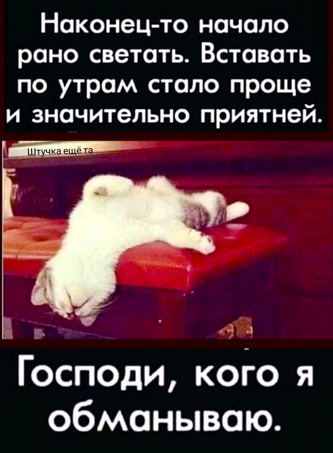 ***Victoria Viktorovna*** - 3  2021  17:05