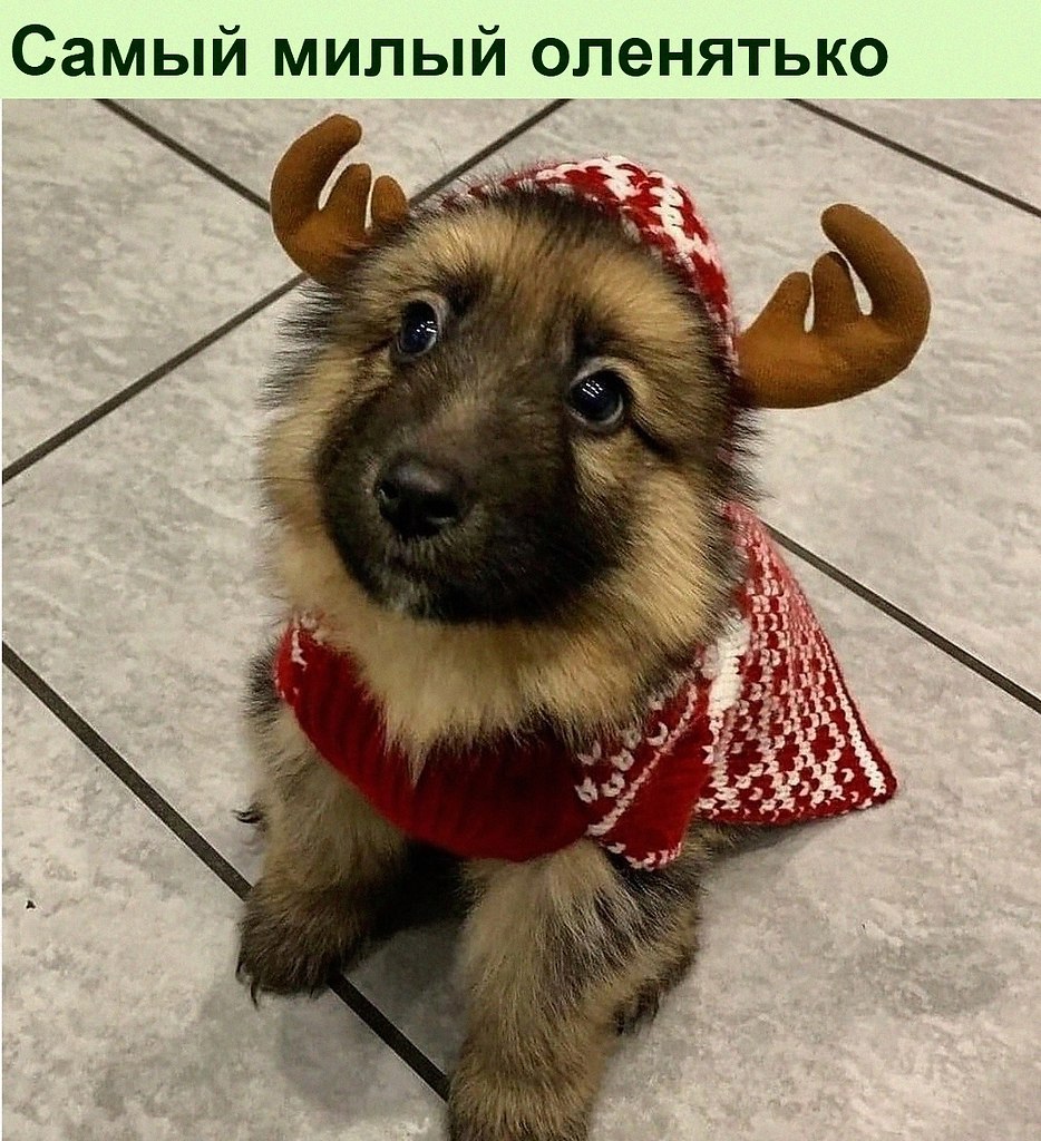   :D - 16  2021  14:47