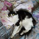 ���� Sergey, ����-�����������, 49 ��� - ��������� 21 ���� 2021 � ������ ���� ����������