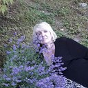 ���� �����, ������������, 56 ��� - ��������� 14 ������ 2022