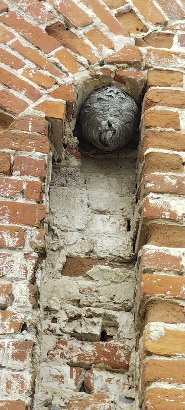    .    , 19 .    ... - 6