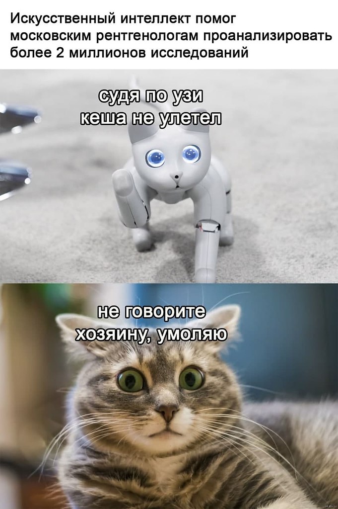 . - 9  2021  20:09