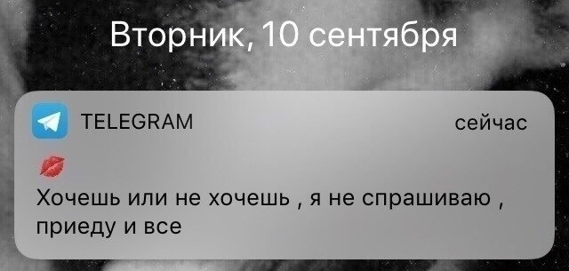 ,     : - 4