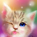  °• Honey•°,  -  28  2021    