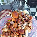 ���� ��������, ������ - ��������� 17 ������ 2021 � ������ �����������