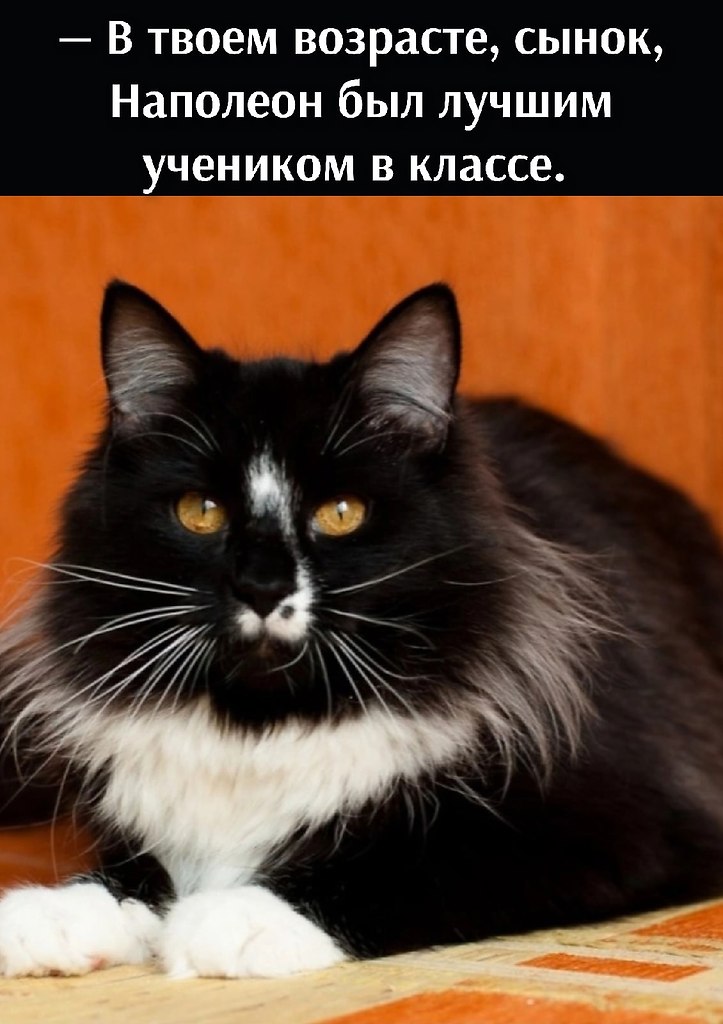       - 19  2022  13:07