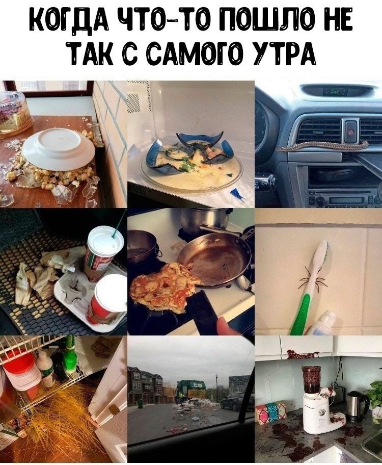 ����� ��������