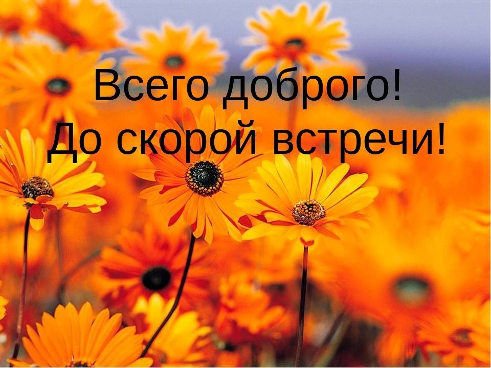   ,    . - 21  2021  23:56 - 8