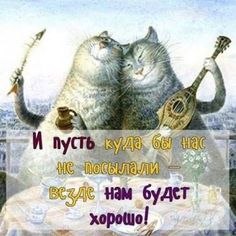   ! - 8  2021  17:47