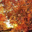  Anar, , 46  -  9  2021    