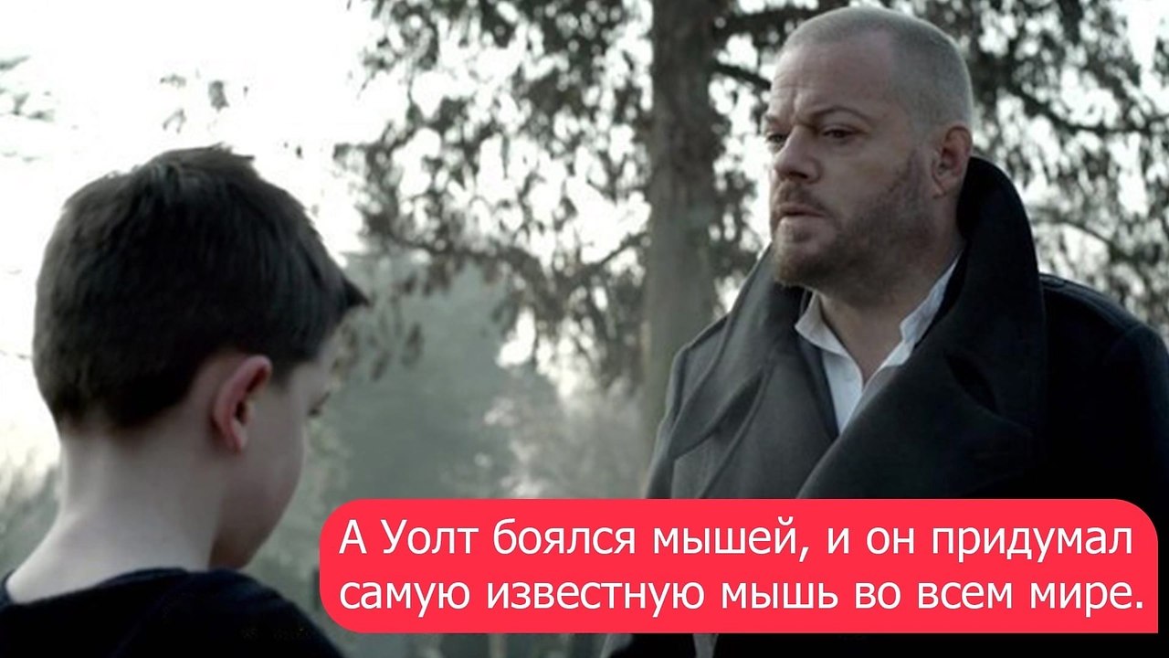     ,   . - 5