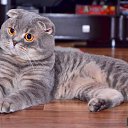  Elena....,  -  13  2021    