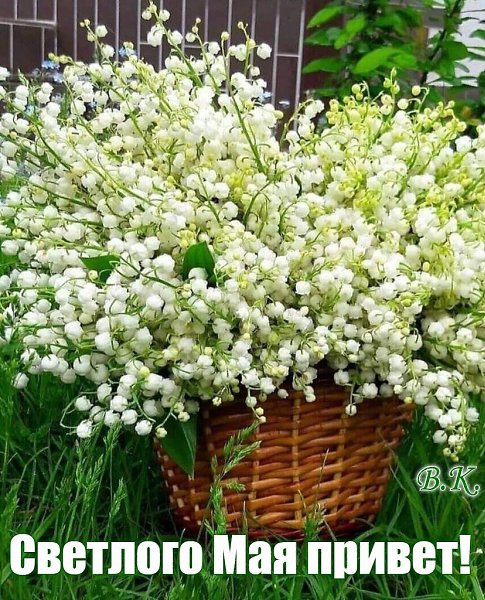   ,    . - 18  2021  22:56 - 3