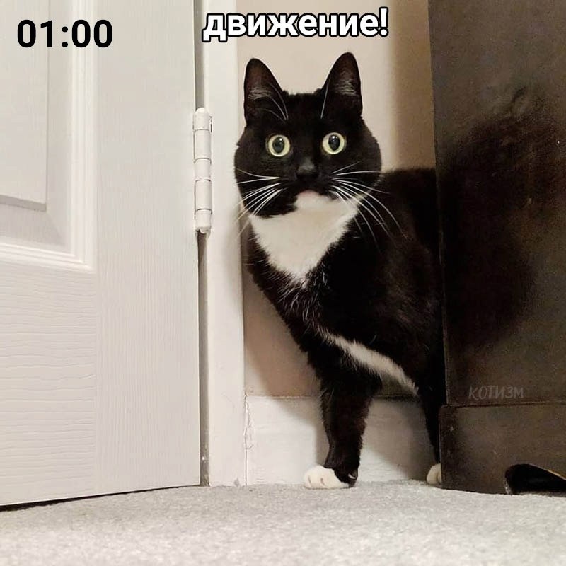     - 3