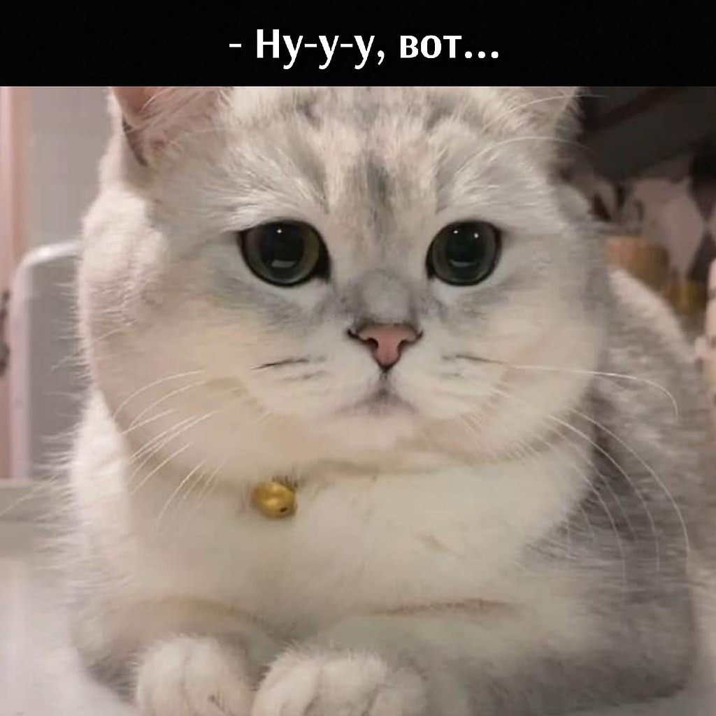       - 19  2021  18:36 - 3