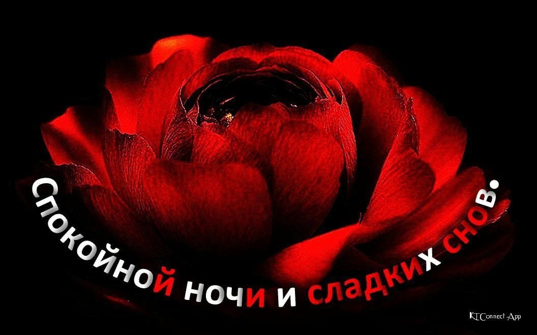   ,    . - 18  2021  22:33