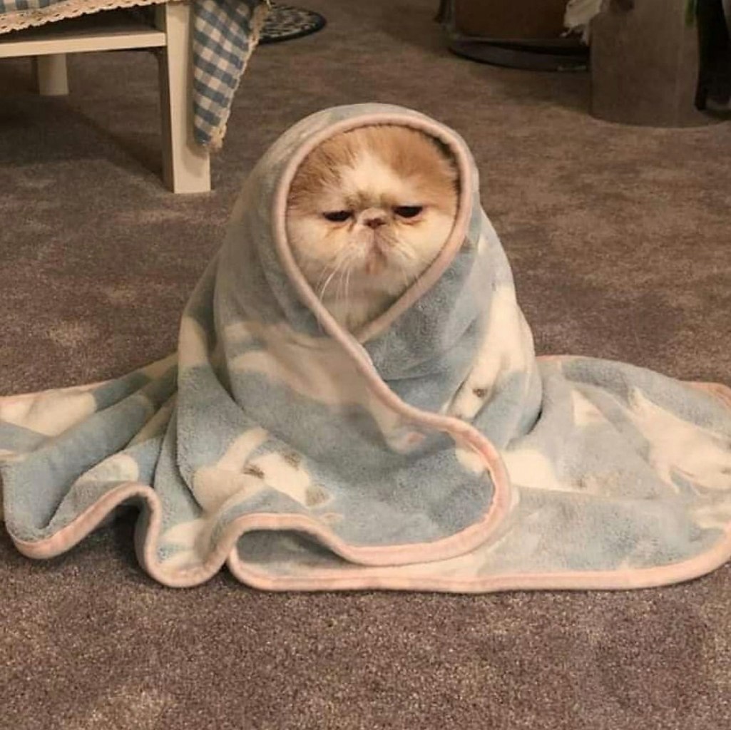    :