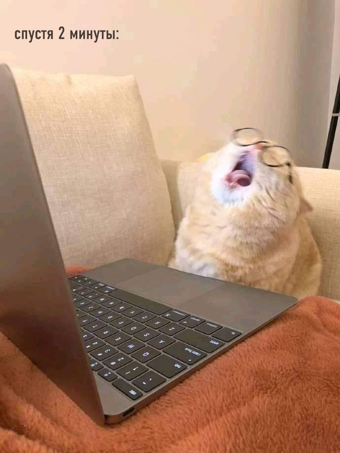  ,      : - 2