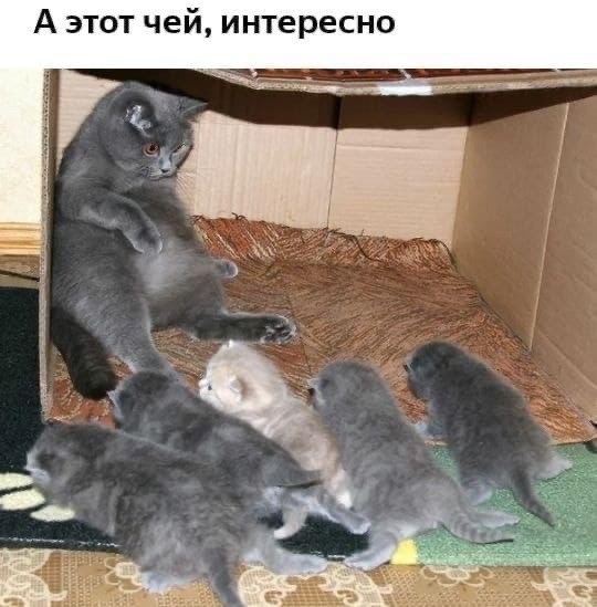   - 10  2021  21:47