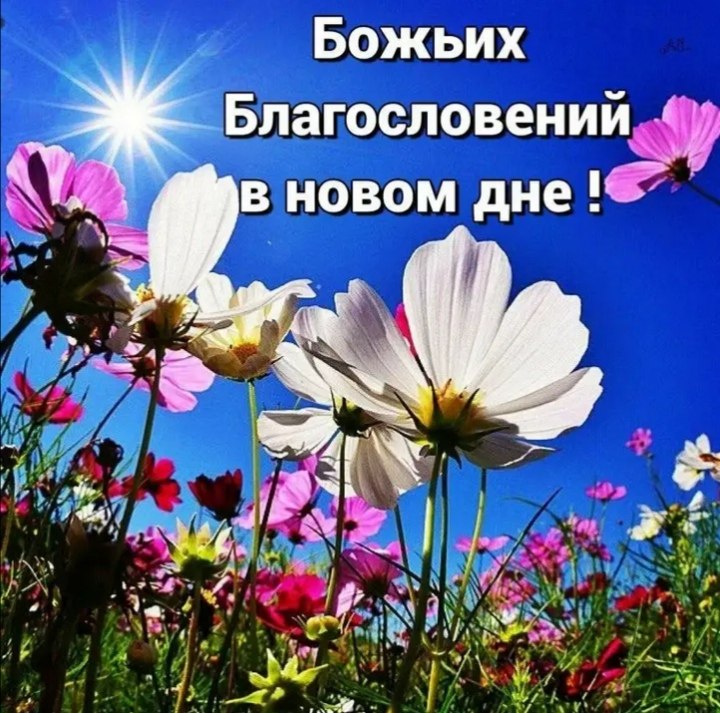 ***Victoria Viktorovna*** - 18  2021  05:15