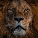 ���� Mr, �����-���������, 37 ��� - ��������� 25 ������ 2021 � ������ ���� ����������