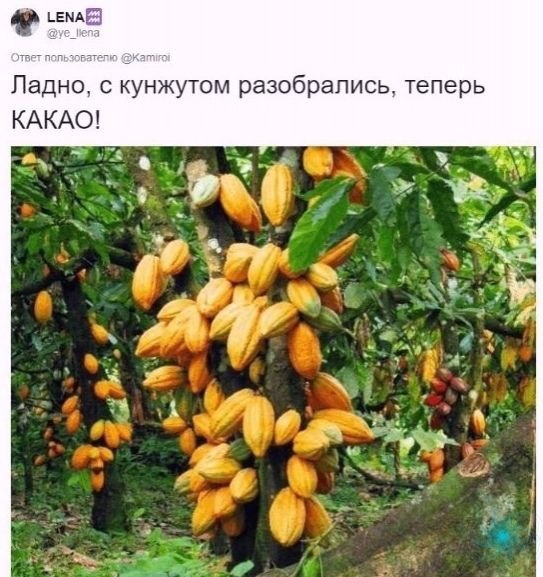     ! - 6