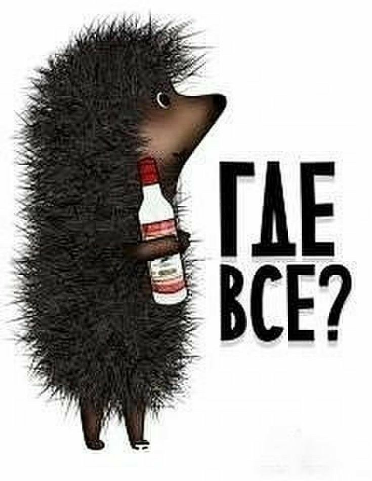   ,    . - 2  2021  13:08
