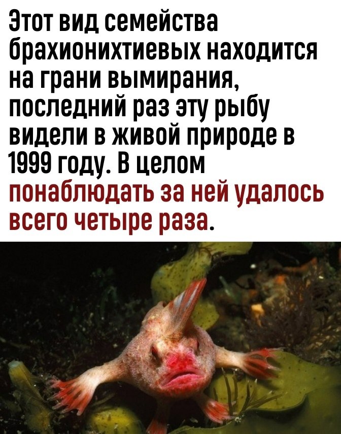    - 3