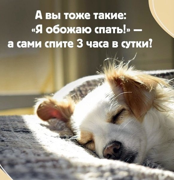   - 23  2022  08:47