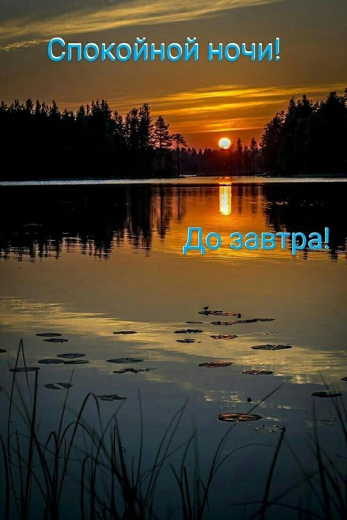   ,    . - 2  2021  22:58 - 8