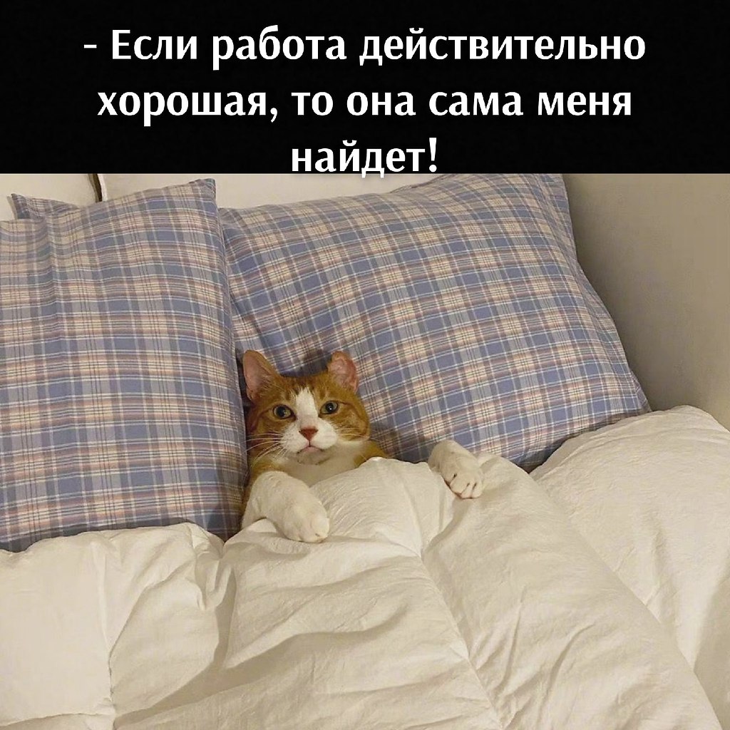       - 16  2021  15:28 - 2