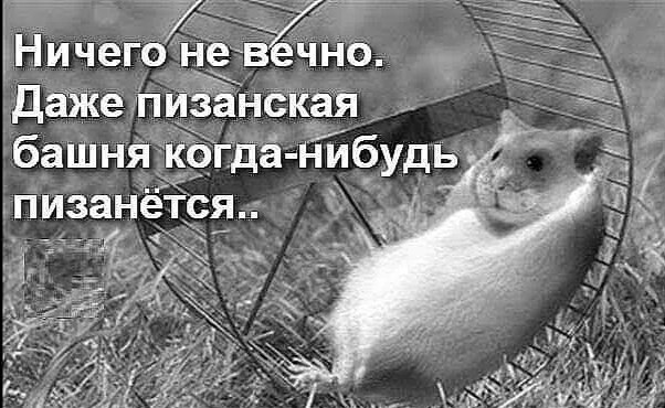 ***Victoria Viktorovna*** - 5  2021  03:12