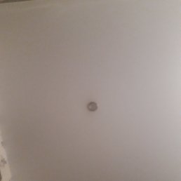 ���� ����, ������ ��������, 41 ��� - ��������� 2 ������ 2021