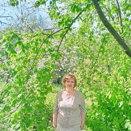 �������, ������, 61 ���