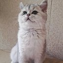 ���� ������, ������, 46 ��� - ��������� 7 ������ 2022 � ������ ���� ����������