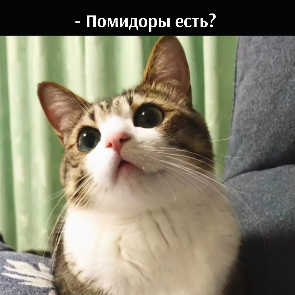       - 12  2021  10:20