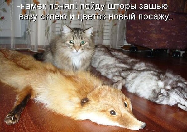    - 12  2021  11:40