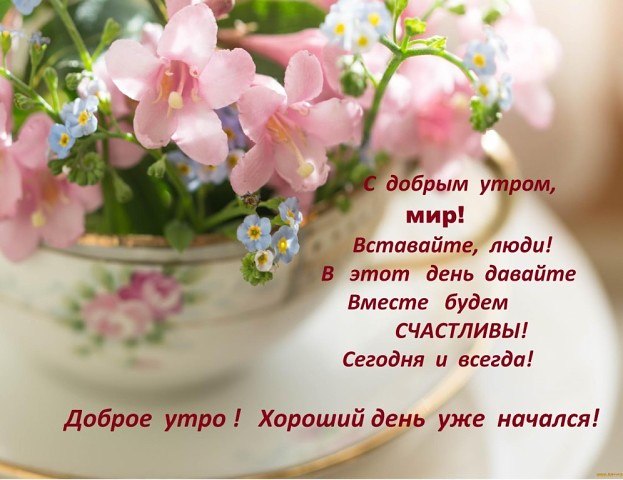   ,    . - 1  2021  23:36 - 8