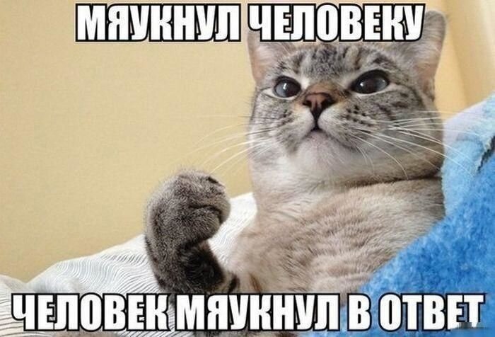    - 7  2021  08:44