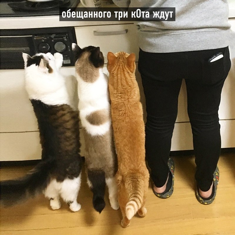   - 8