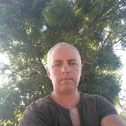 , 52, 