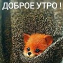  ,  -  10  2021    