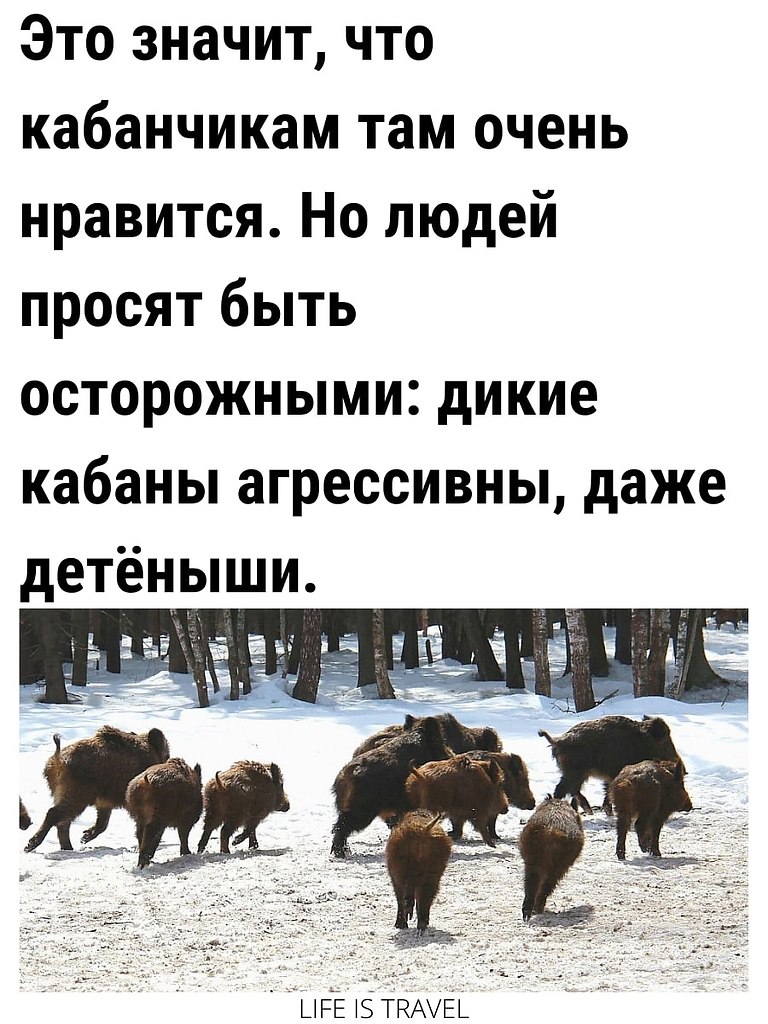 LIFE -  - 2  2022  10:34 - 2