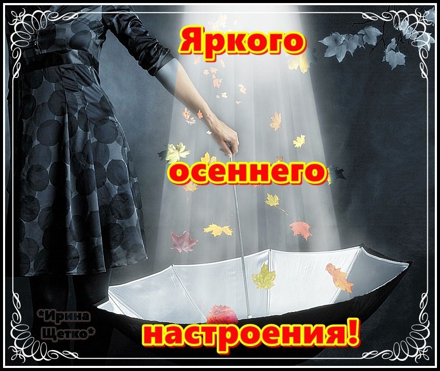   ,    . - 28  2021  14:39 - 2