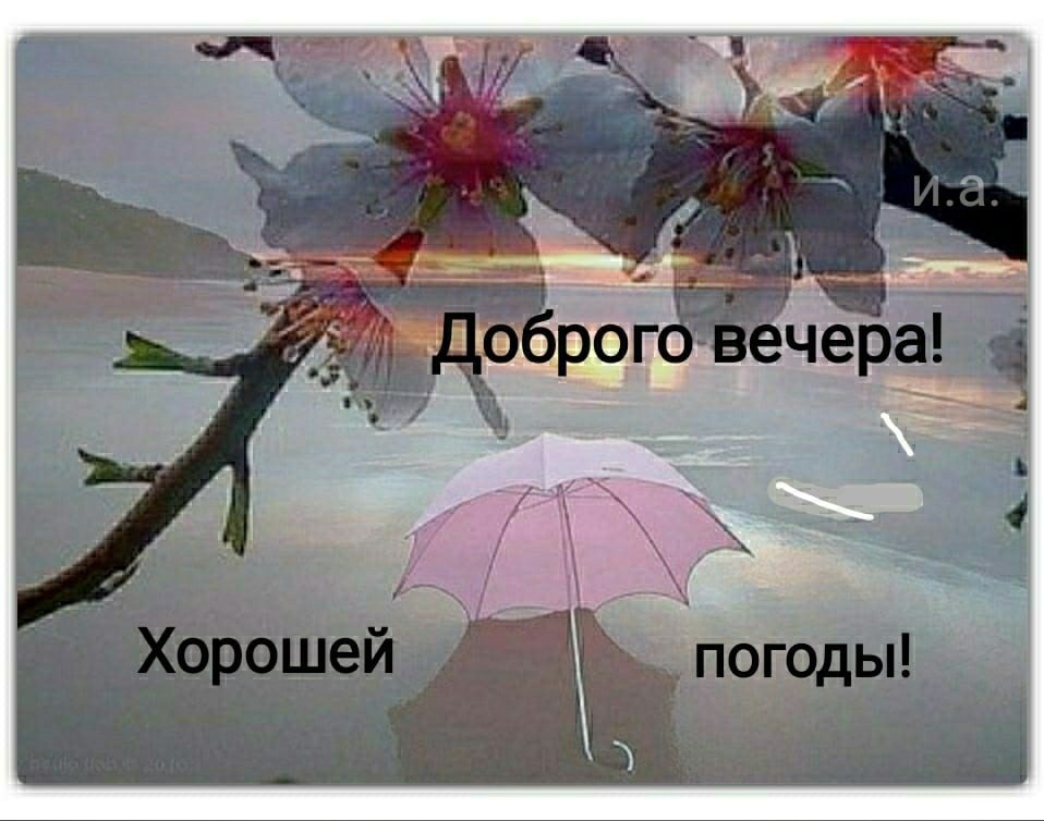   - 27  2021  23:29