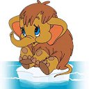  ,  , 60  -  28  2021