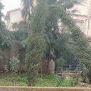 ���� Salmi, ������, 44 ���� - ��������� 26 ������ 2021 � ������ ���� ����������